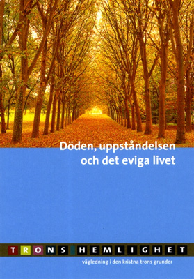 Product Image for Döden,  uppståndelsen och det eviga livet