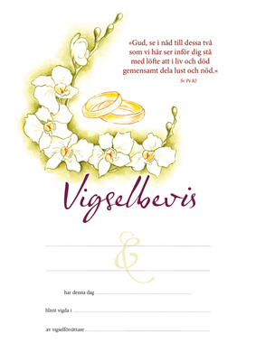 Product Image for Vigselbevis - tvåringar