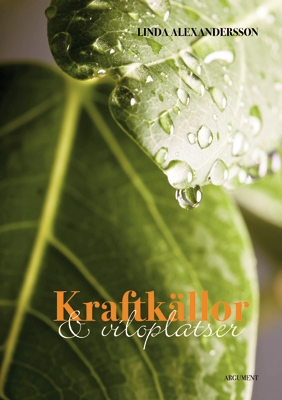 Product Image for Kraftkällor och viloplatser