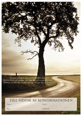 Product Image for Konfirmationsminne - välsignelsen