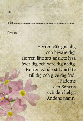 Product Image for Klisterlapp - välsignelsen