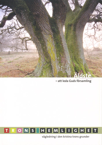 Product Image for Äldste: att leda Guds församling