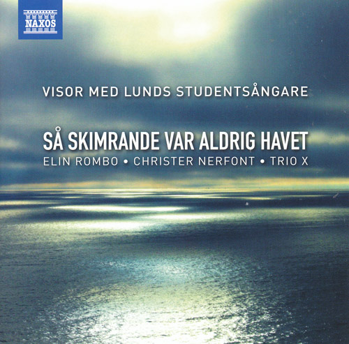 Product Image for Såskimrande var aldrig havet - CD