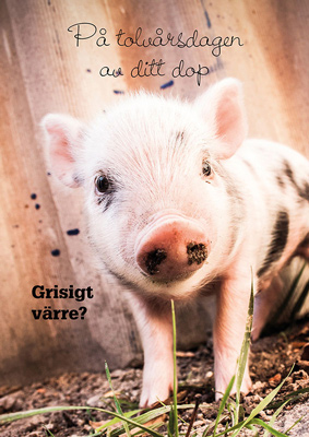 Product Image for Dophälsning - 12 år