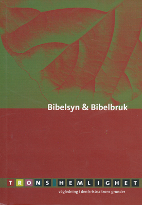 Product Image for Bibelsyn & bibelbruk - trons hemlighet - pingst teologiska n