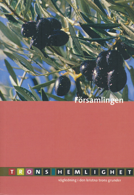 Product Image for Församlingen - trons hemlighet - pingst teologiska nätverket