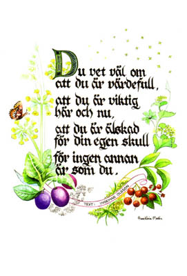 Product Image for Kort - du vet väl om att du är värdefull - anna karin medin