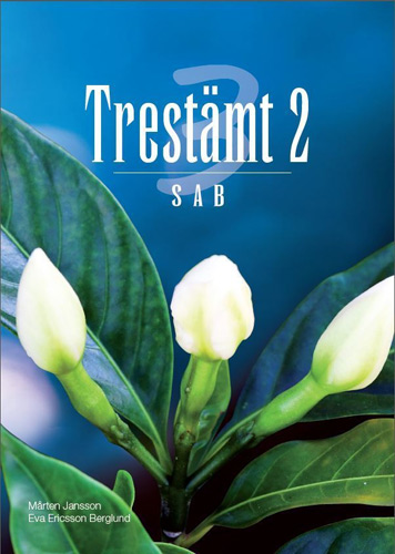 Product Image for Trestämt 2 sab