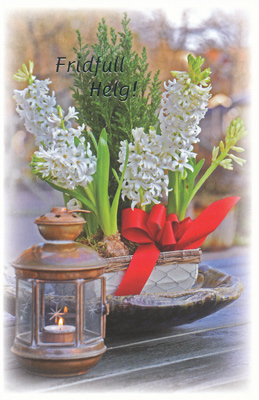 Product Image for Julkort - dubbelt med kuvert - bo5005