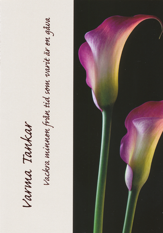 Product Image for Kort - varma tankar - vackra minnen från tid - dubbelt