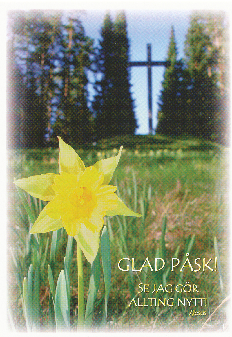 Product Image for Vykort - påsk - glad påsk! se jag gör allting nytt!