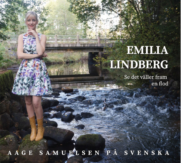 Product Image for Se det väller fram en flod - CD