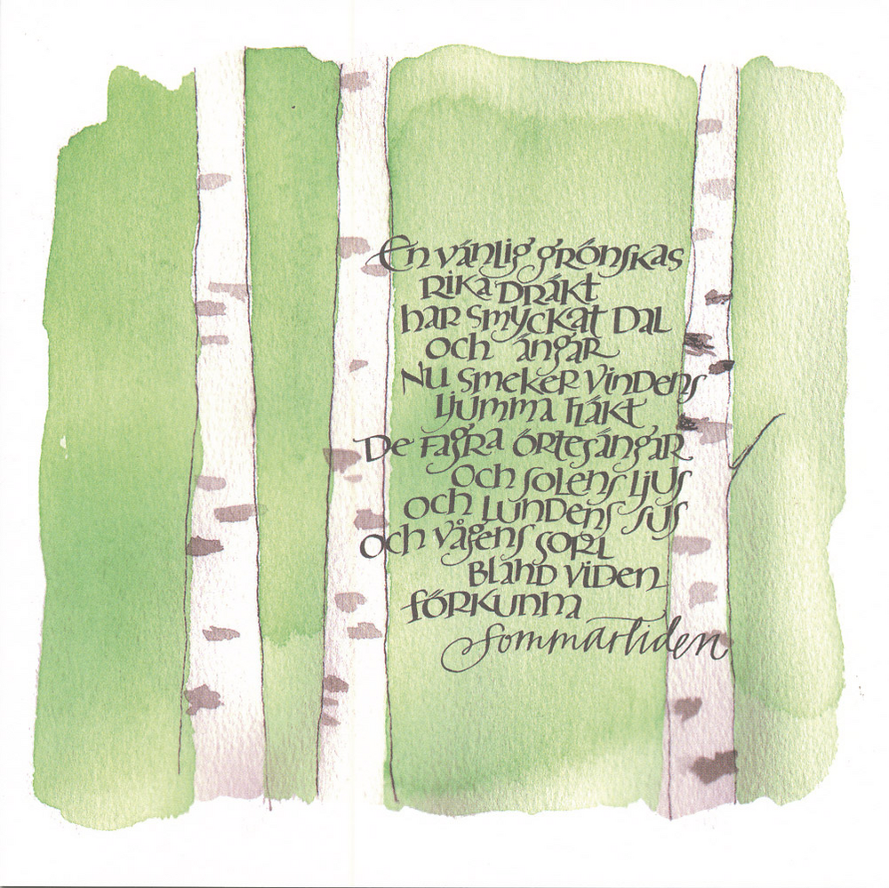 Product Image for Kort - en vänlig grönskas rika dräkt - dubbelt