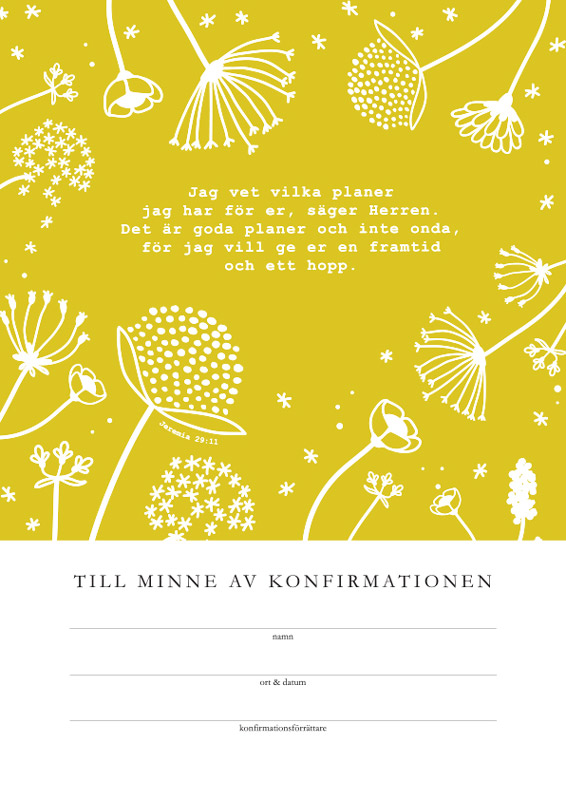 Product Image for Konfirmationsminne - jag vet vilka planer - frikyrkan
