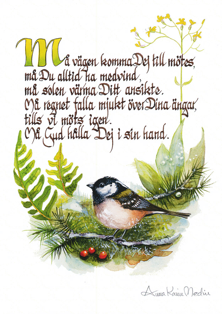 Product Image for Kort - måvägen komma dej till mötes - anna karin medin