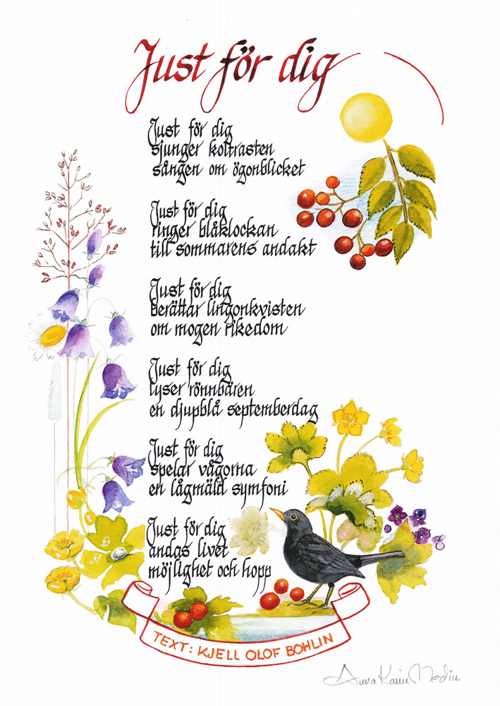 Product Image for Kort - just för dig sjunger koltrasten - anna karin medin