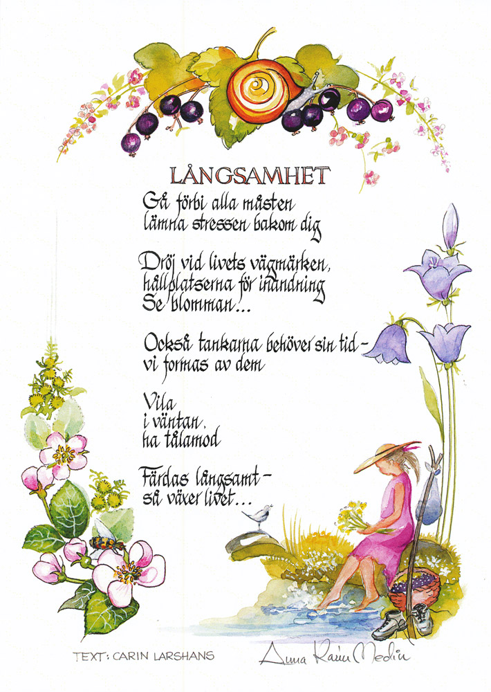 Product Image for Kort - långsamhet. Gåförbi alla måsten - anna karin medin