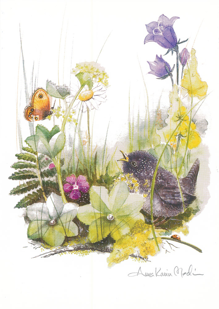 Product Image for Kort - utan text - fågelunge - anna karin medin