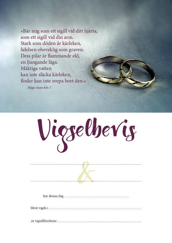 Product Image for Vigselbevis - guldringar