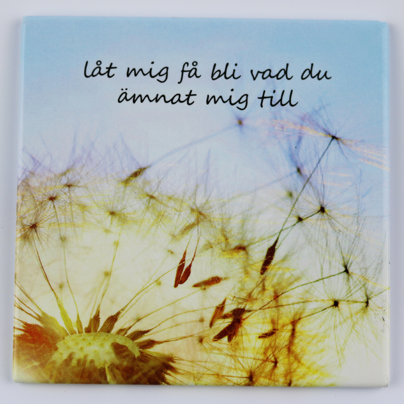 Product Image for Magnet - text: låt mig bli vad du ämnat mig till