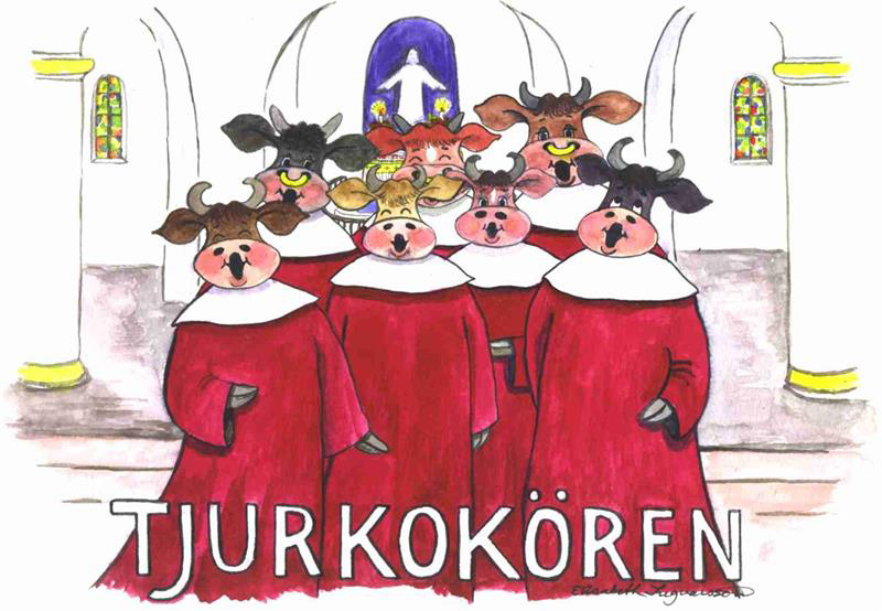 Product Image for Vykort - tjurkokören - a6 - glada kossan