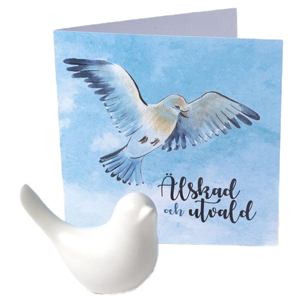 Product Image for Duva - älskad och utvald