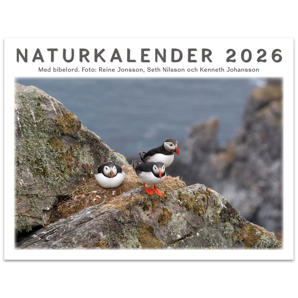 Product Image for Naturkalender 2026 - reine jonsson