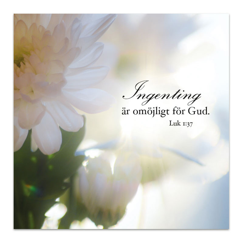 Product Image for Magnet - ingenting är omöjligt