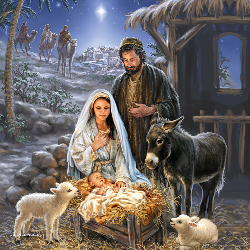 Product Image for Servetter - julkrubba - blå- 20-pack