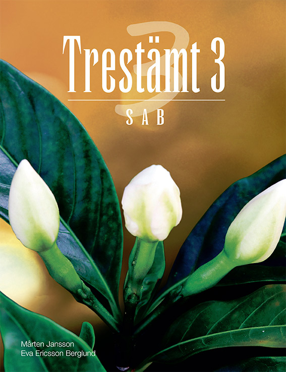 Product Image for Trestämt 3 sab