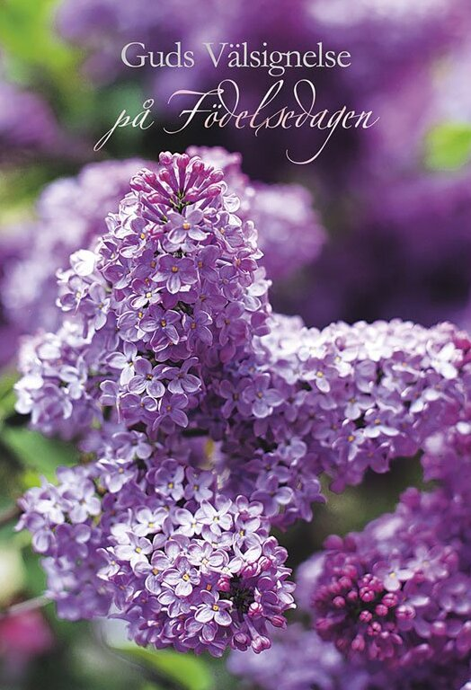 Product Image for Kort - Guds välsignelse påfödelsedagen - dubbelt