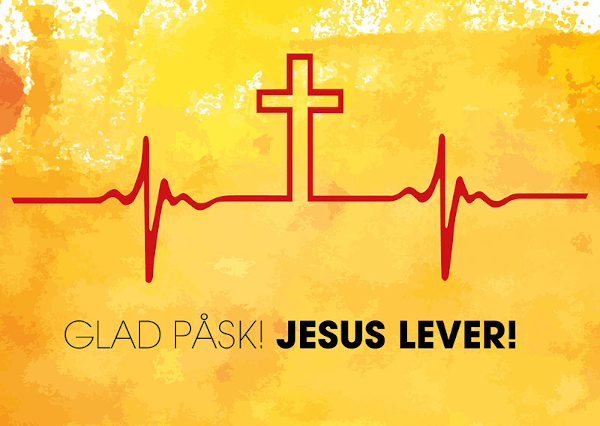 Product Image for Vykort - ekg