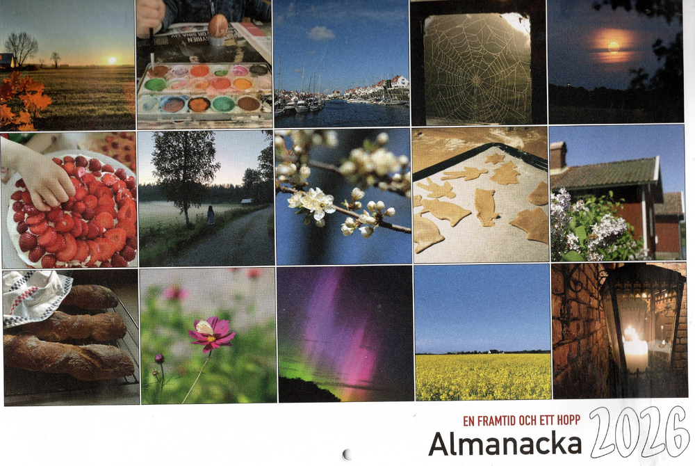 Product Image for Almanacka - en framtid och ett hopp - 2026
