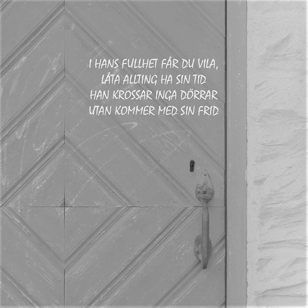 Product Image for Kort - i hans fullhet