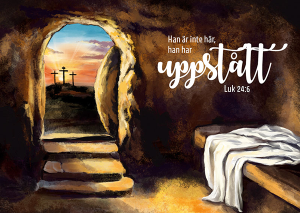 Product Image for Vykort - tom grav