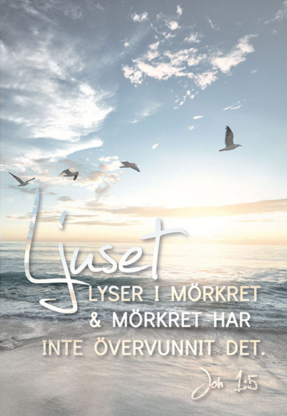 Product Image for Ljuset lyser i mörkret