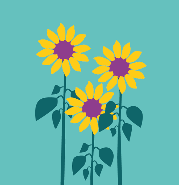 Product Image for Fröpåse solros - equmenia