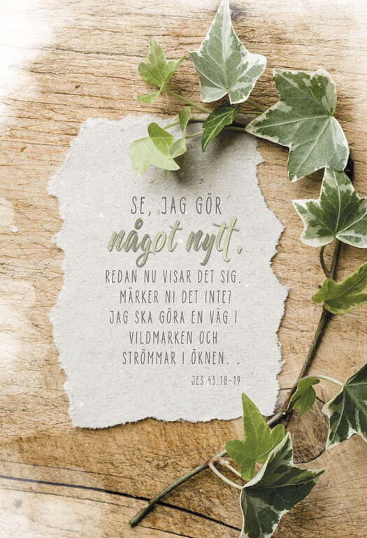 Product Image for Dubbelt kort - se jag gör något nytt