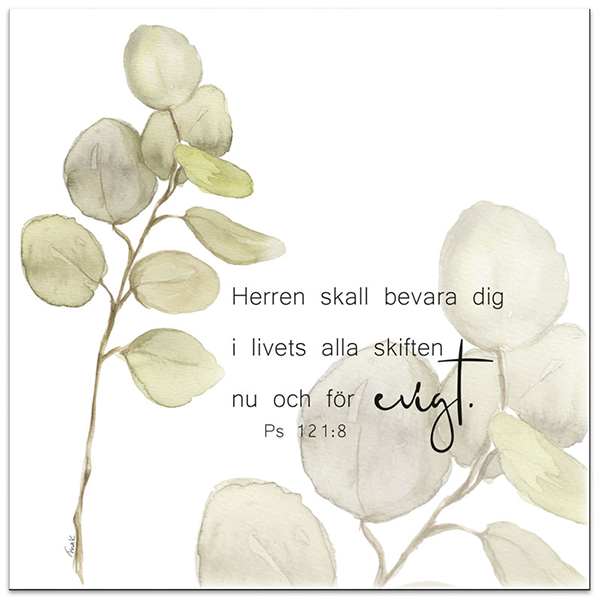 Product Image for Servetter - livets ögonblick - 20-pack