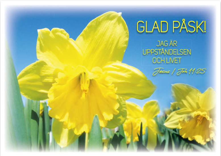 Product Image for Vykort - glad påsk