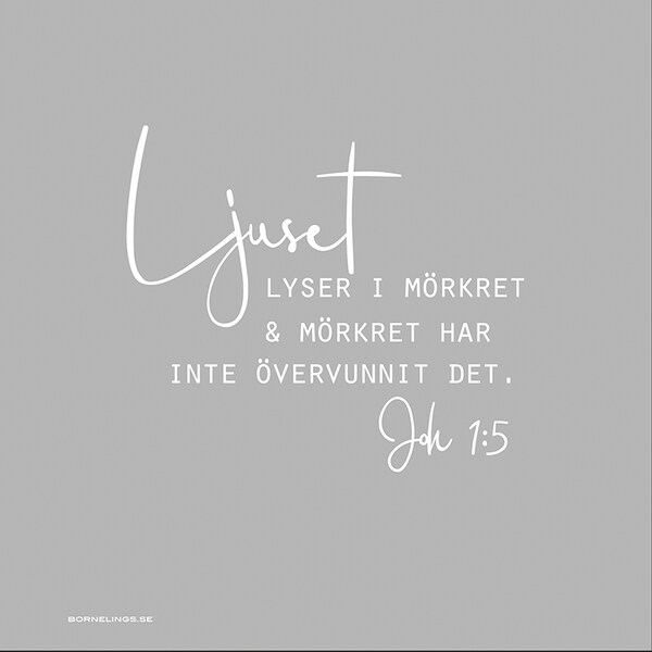 Product Image for Servetter - ljuset lyser i mörkret - 20-pack