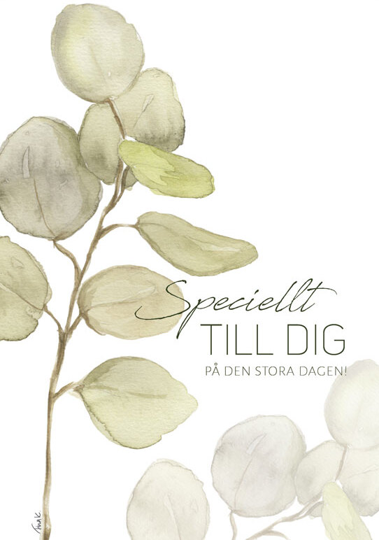 Product Image for Vykort - speciellt till dig