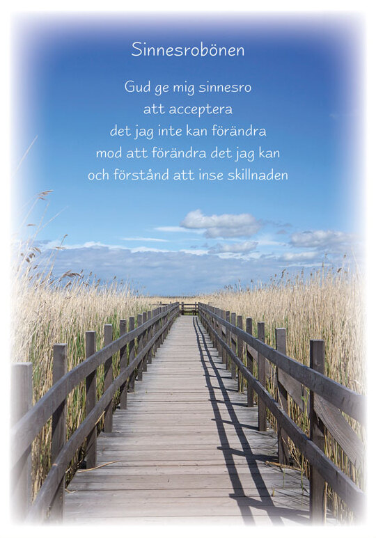 Product Image for Vykort - sinnesrobönen