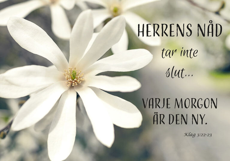 Product Image for Vykort - herrens nåd tar inte slut