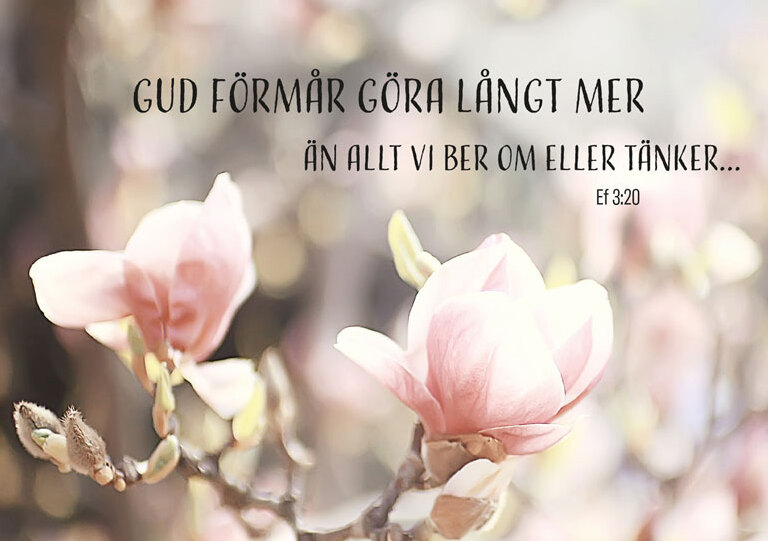 Product Image for Vykort - Gud förmår göra långt mer