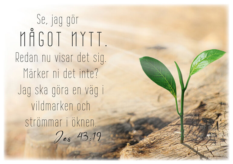 Product Image for Vykort - se jag gör något nytt