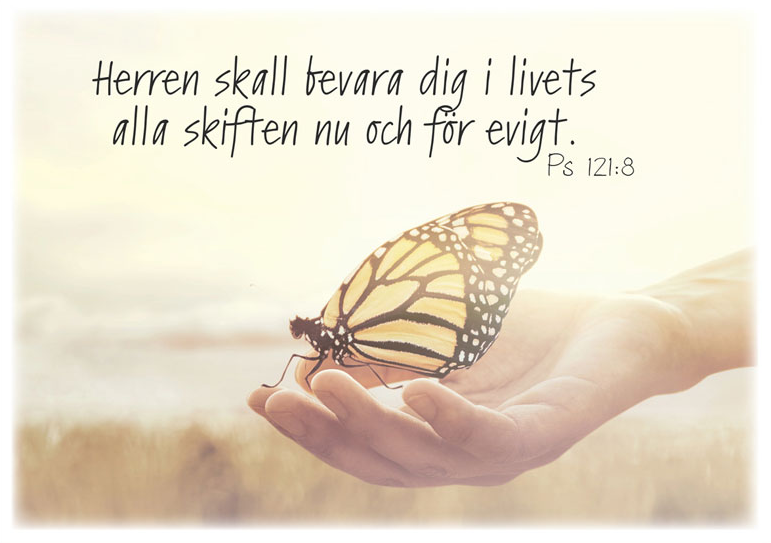 Product Image for Vykort - herren skall bevara dig