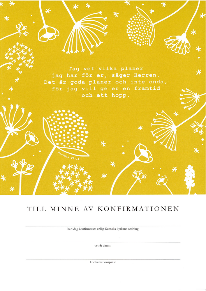 Product Image for Konfirmationsminne - jag vet vilka planer - svenska kyrkan