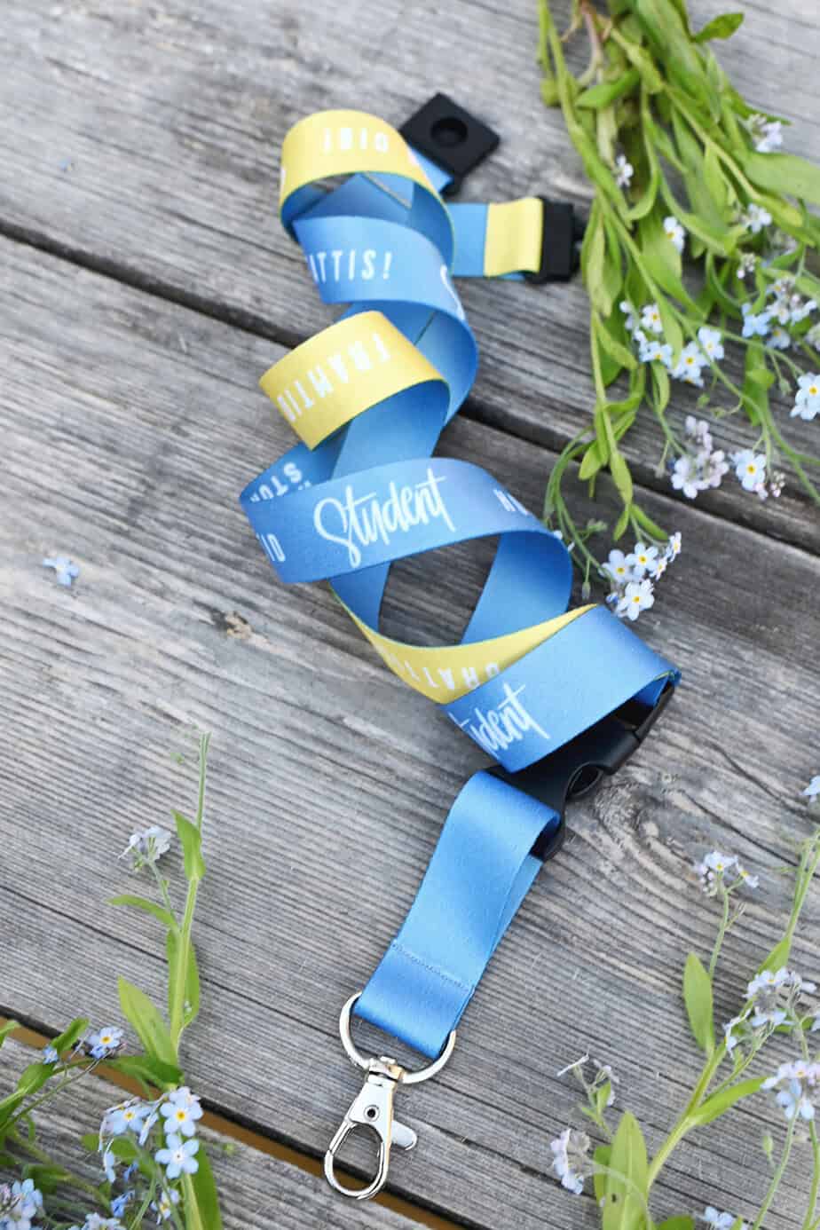 Product Image for Nyckelband - student - hopp & framtid - blå/gul