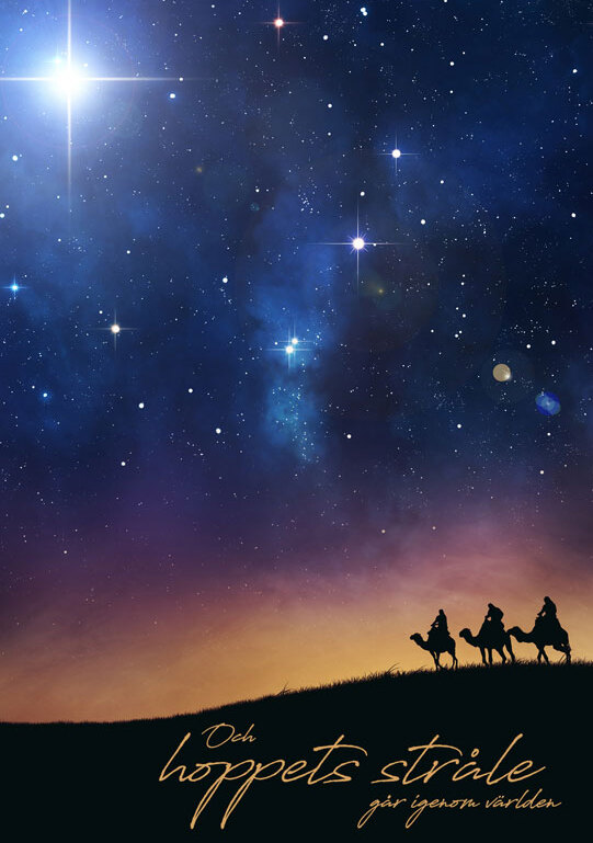 Product Image for Julkort – jul1611